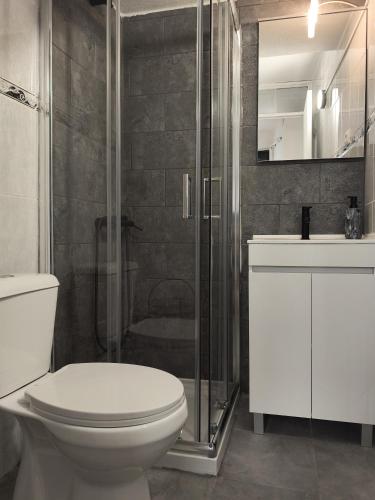 a bathroom with a toilet and a shower and a sink at Casa do Adro in Torre de Moncorvo