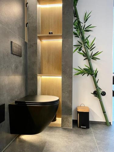 Loft Concept