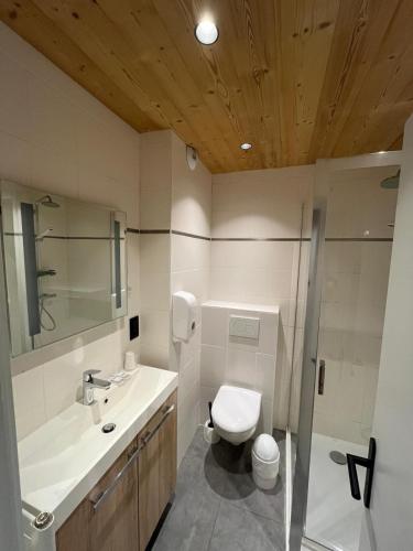 a bathroom with a toilet and a sink at Hôtel et appart'hôtel de l'Hermitage in Thônes