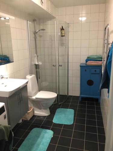 a bathroom with a toilet and a shower with blue mats at Snäckbacken Visby in Visby