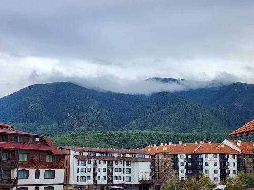 Apartment Viktoria near ski lift on Pirin street