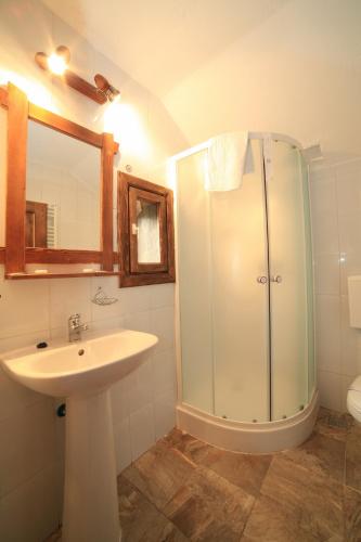 a bathroom with a sink and a shower at Pensiunea Dacica in Boşorod