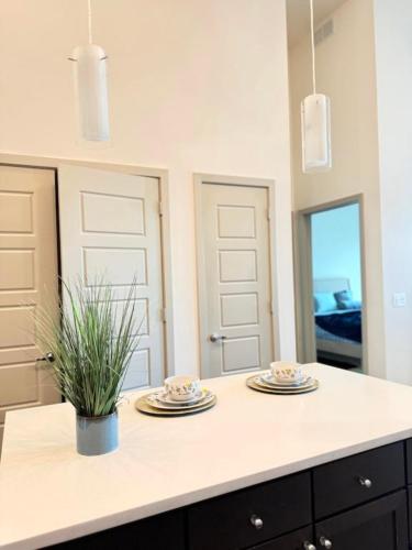 a kitchen with two plates on a counter at Charming 1-bedroom apartment in terrific Frisco next to Toyota Stadium with WiFi & fitness in Frisco
