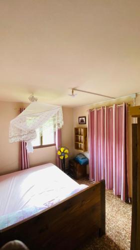 een slaapkamer met een bed met een hemelbed en roze gordijnen bij Minerva Apart in Ranomafana
