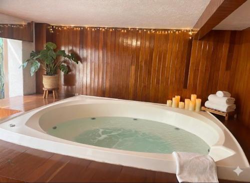 a large bath tub in a bathroom with a plant at Quinta San Francisco in Cuernavaca