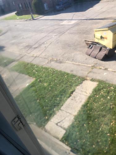 a view from a window of a field of grass at Stoners Sanctuary in Detroit