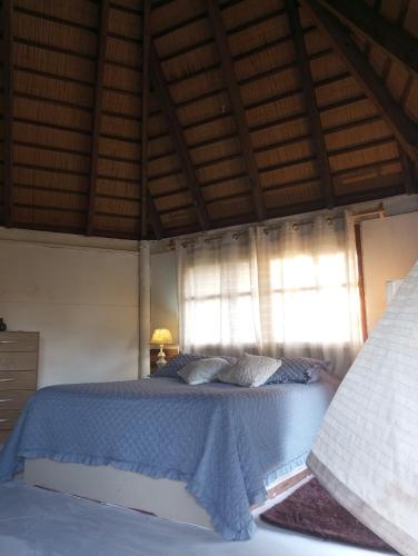 a bedroom with a bed with blue sheets and a window at Morocha in Estación Costa Azul