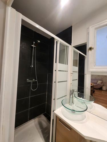 ein Badezimmer mit Dusche und Waschbecken in der Unterkunft Évasion Parisienne exelmans et Tour Eiffel in Paris