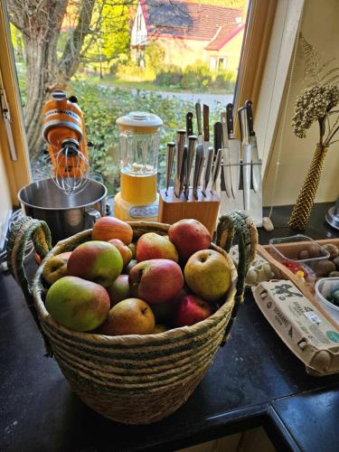 a basket of fruit on a counter with a window at Hoeve de Haan in Bellingwolde