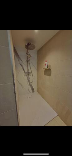 a small bathroom with a shower with a shower at Le Cocoon caché avec piscine parking,terrasse au calme appartement très frais ! in Sarreguemines