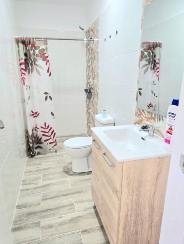 a bathroom with a toilet and a sink at La Casita de Beni Valencia in Valencia