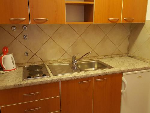 a kitchen counter with a sink and a stove at Apartments Mirakul in Lopar