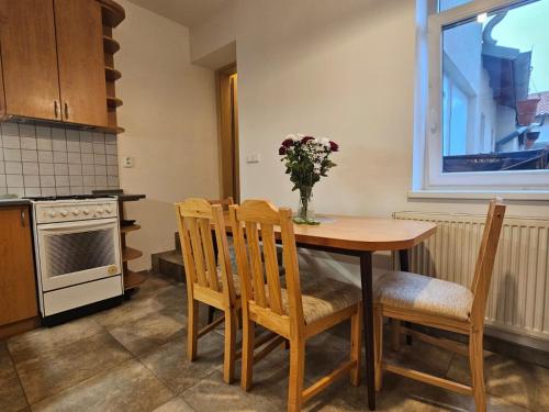 Η κουζίνα ή μικρή κουζίνα στο Apartment Stejskalova