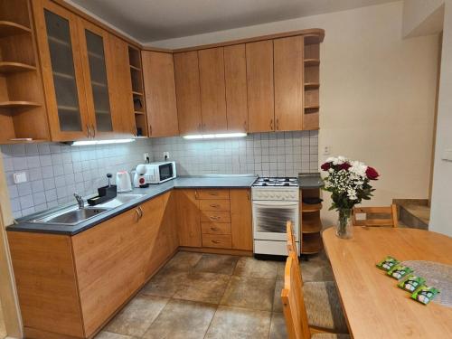 Η κουζίνα ή μικρή κουζίνα στο Apartment Stejskalova