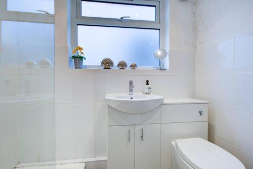a bathroom with a sink and a toilet and a window at Colchester Cntrcosyofficepatiotrainparkpet in Colchester