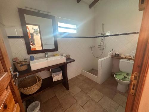 a bathroom with a sink and a toilet and a mirror at Kazatibois à Vieux Fort in Vieux-Fort