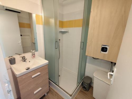 une salle de bain avec lavabo et douche dans l'établissement Appartement Le Refuge du Vautour, à Bielle