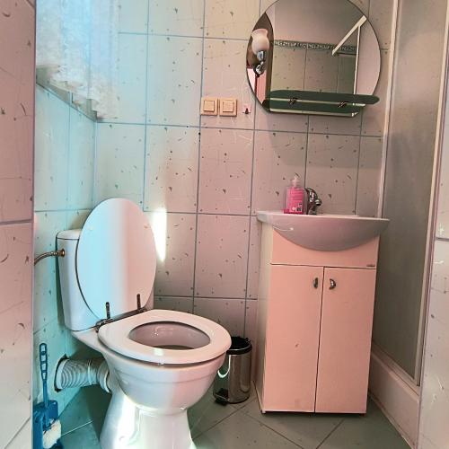 a bathroom with a pink toilet and a sink at Tanie Noclegi Krysia Falsztyn in Falsztyn