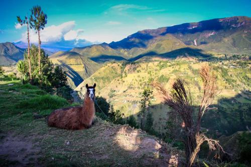 Příroda nedaleko penzionu