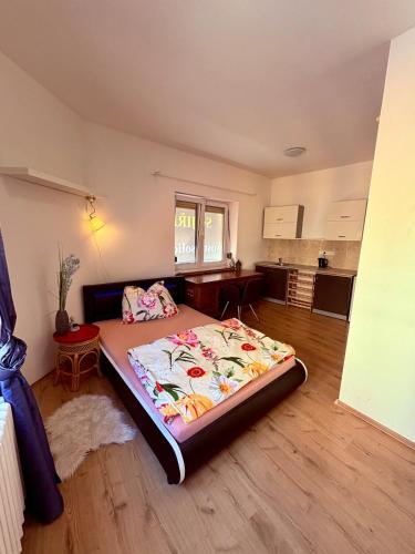 Apartment Josefská 2 Teplice