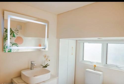 Un baño con lavabo, espejo e inodoro. en Puka Mala Tiny House, en Ciudad del Cabo