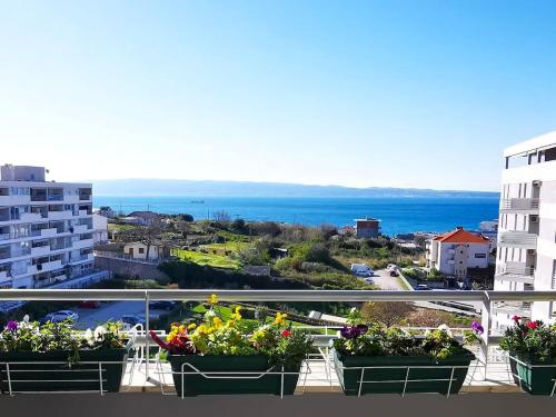 Seaside Oasis Split