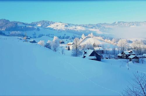 a snow covered hillside with houses on it at Ferien Im Toggenburg in Ebnat