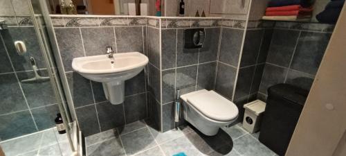 a bathroom with a sink and a toilet and a shower at Ruola in Kaunas