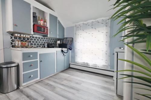 a kitchen with blue cabinets and a potted plant at Chic & Sunny 1BR Hideaway- Apt 1 in Bridgewater