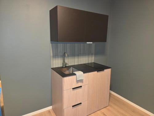 Een keuken of kitchenette bij Aurora Andøya