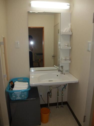 a bathroom with a white sink and a mirror at Hotel Tateshina in Tokyo