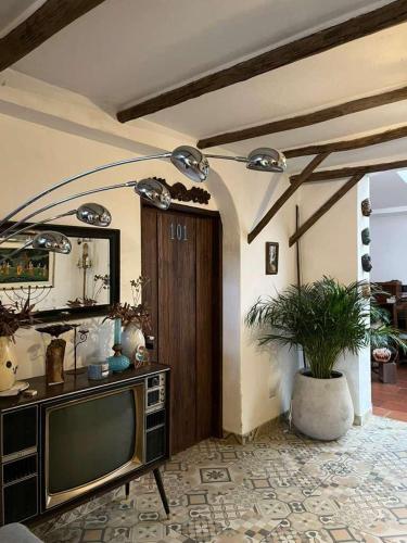 a living room with a television and a potted plant at Suite del hotel Blau in Sopo