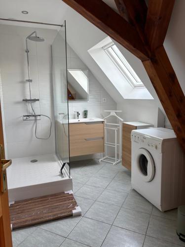 a bathroom with a shower and a washing machine at Gîte le Nid in Uffholtz