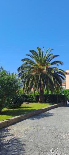 Zahrada ubytování Raggio di Sole