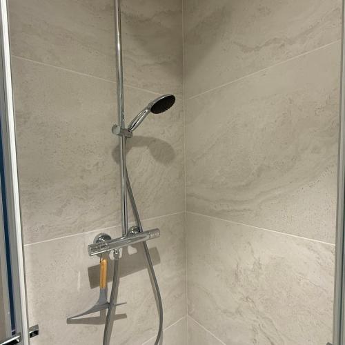 a shower with a shower head in a bathroom at Les Rives du vignoble in Ingersheim