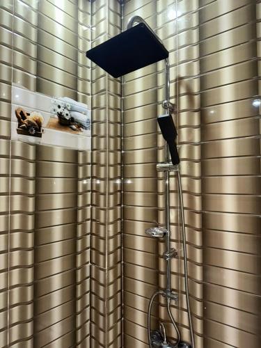 La salle de bains est pourvue d'une douche et d'un plafond noir. dans l'établissement Chez toi express, à Derklé