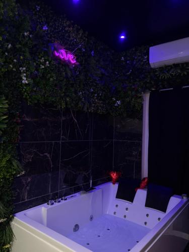 Billede fra billedgalleriet på Dream Love Private Jacuzzi & Glamorous Atmosphere i Toulon