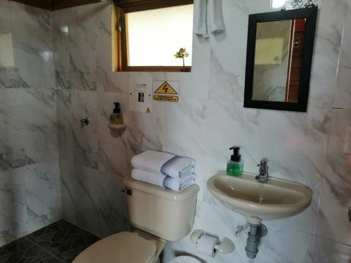 a bathroom with a toilet and a sink and a mirror at Cabaña San Martin in Guatavita
