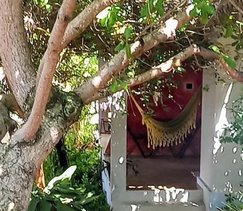 Zahrada ubytování Stay Cool Pipa