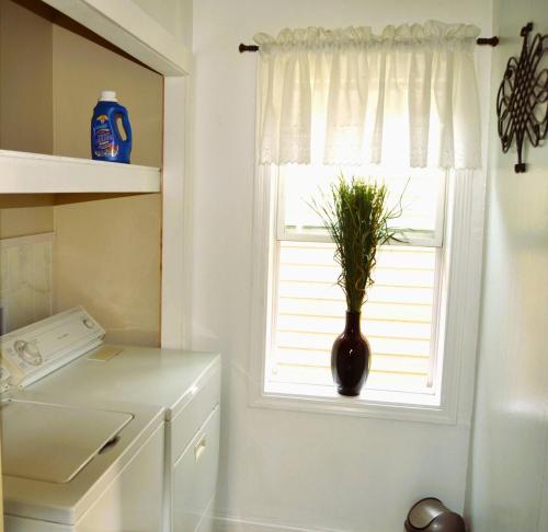 een keuken met een raam met een plant in een vaas bij 7-Bedroom Retreat Sleeps 13 in East Grand Forks