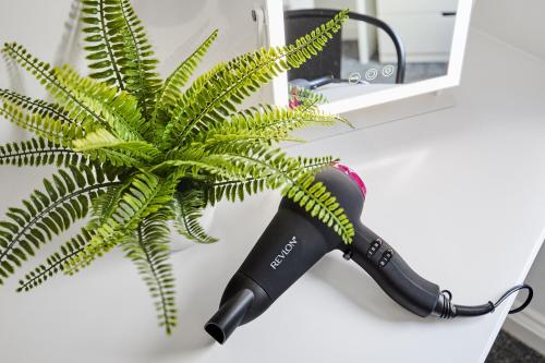 Ein Haartrockner steht auf einer Ablage neben einer Pflanze. in der Unterkunft Estcourt Avenue Apartments in Headingley