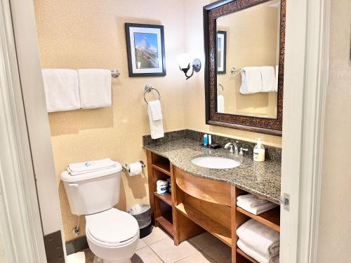 a bathroom with a toilet and a sink and a mirror at Alpine Double Queen Suite Near Park City & Deer Valley Ski Resorts - 134 in Mound City