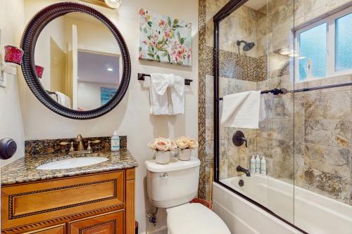 a bathroom with a toilet and a sink and a shower at Colorado Pines Retreat in Lake Valley