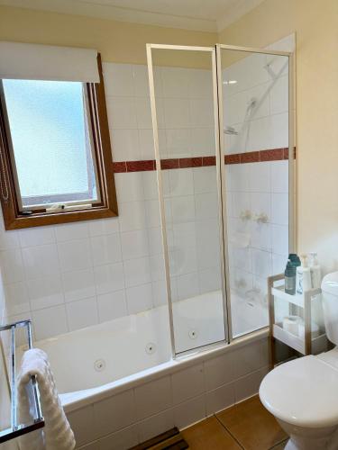 a bathroom with a shower and a toilet at Beach Life in Torquay
