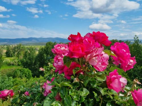 Gallery image of Panorama in Rieux-Minervois