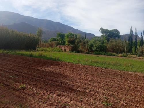 a plowed field with a mountain in the background at Casa de campo Villa El Perchel in Huacalera