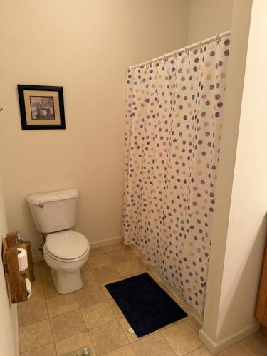 a bathroom with a toilet and a shower curtain at Dayton Gem in Dayton