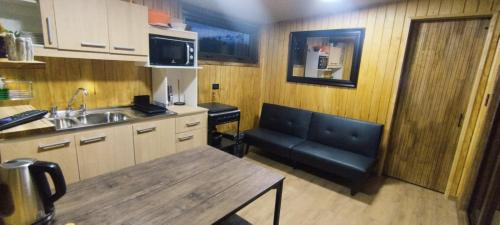 une cuisine avec un évier et un canapé dans une chambre dans l'établissement Cabañas La Patagona y el Chilote, à Llau-Llao