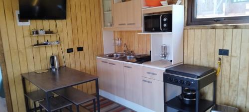 une petite cuisine avec un évier et une cuisinière dans l'établissement Cabañas La Patagona y el Chilote, à Llau-Llao