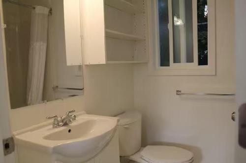 a white bathroom with a sink and a toilet at 3 bedroom 2 bathroom garden suite in Victoria